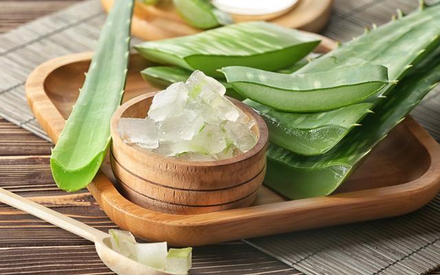 Aloe Vera Hair Growth Oil - LenaLoveNaturals